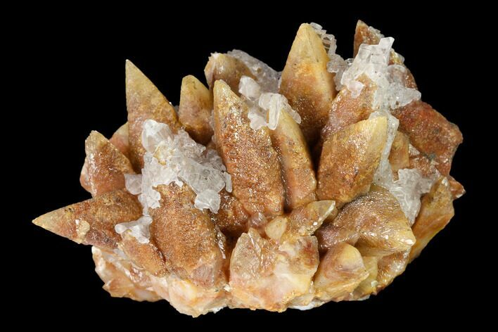 Gypsum on Dogtooth Calcite Crystal Cluster - China #146693